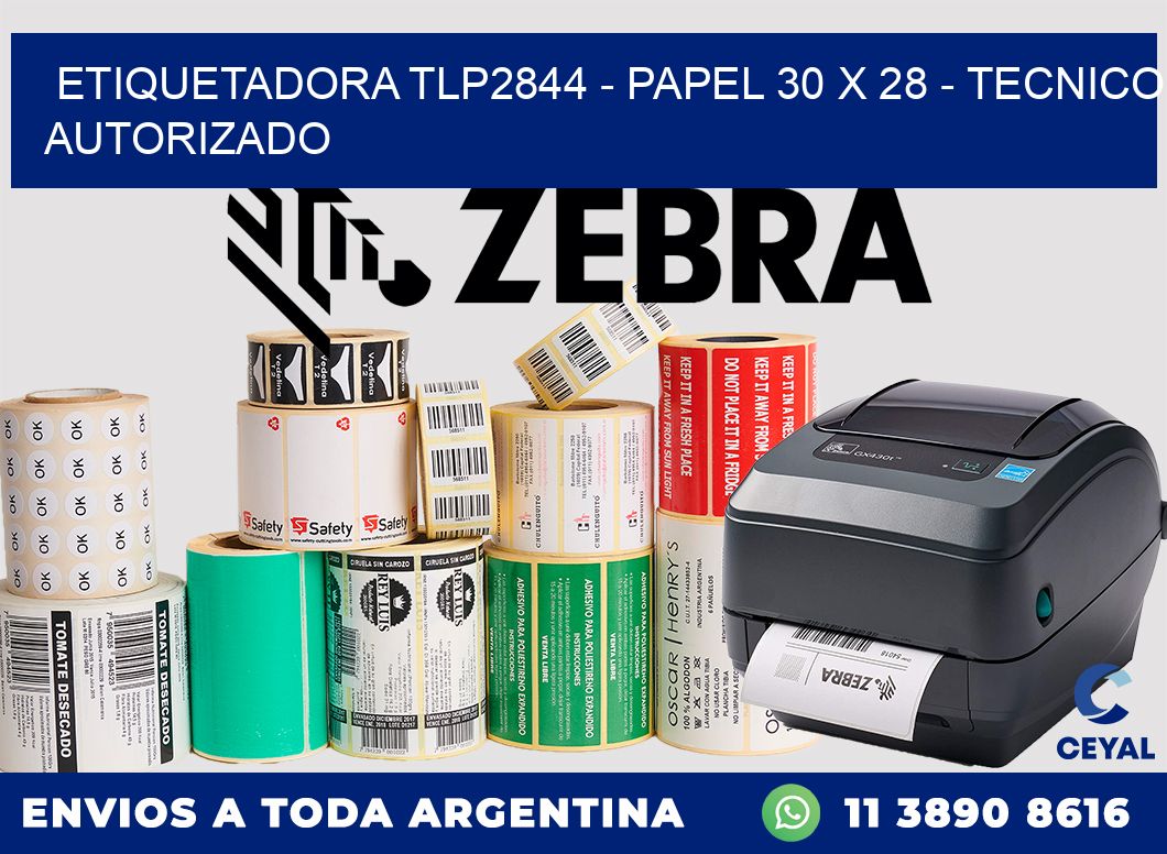 ETIQUETADORA TLP2844 - PAPEL 30 x 28 - TECNICO AUTORIZADO