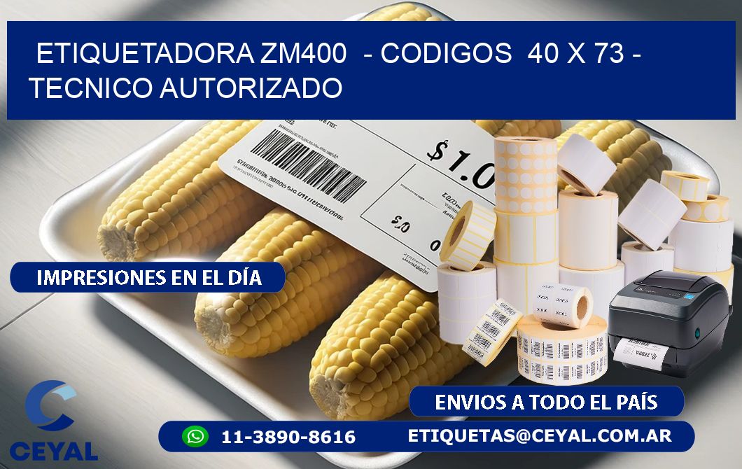 ETIQUETADORA ZM400  - CODIGOS  40 x 73 - TECNICO AUTORIZADO