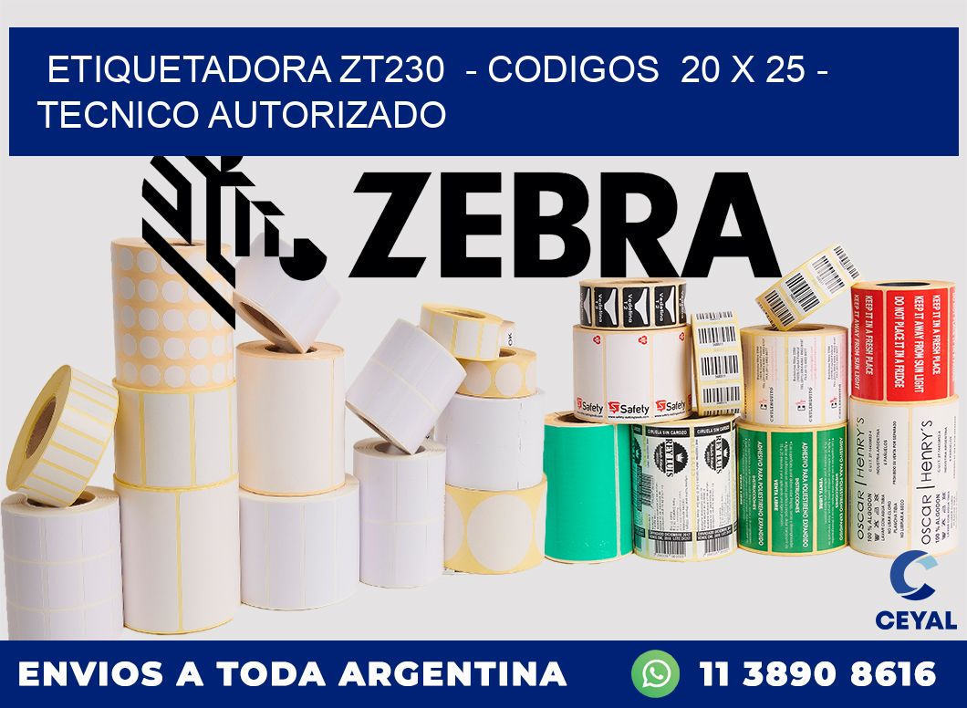 ETIQUETADORA ZT230 - CODIGOS 20 x 25 - TECNICO AUTORIZADO