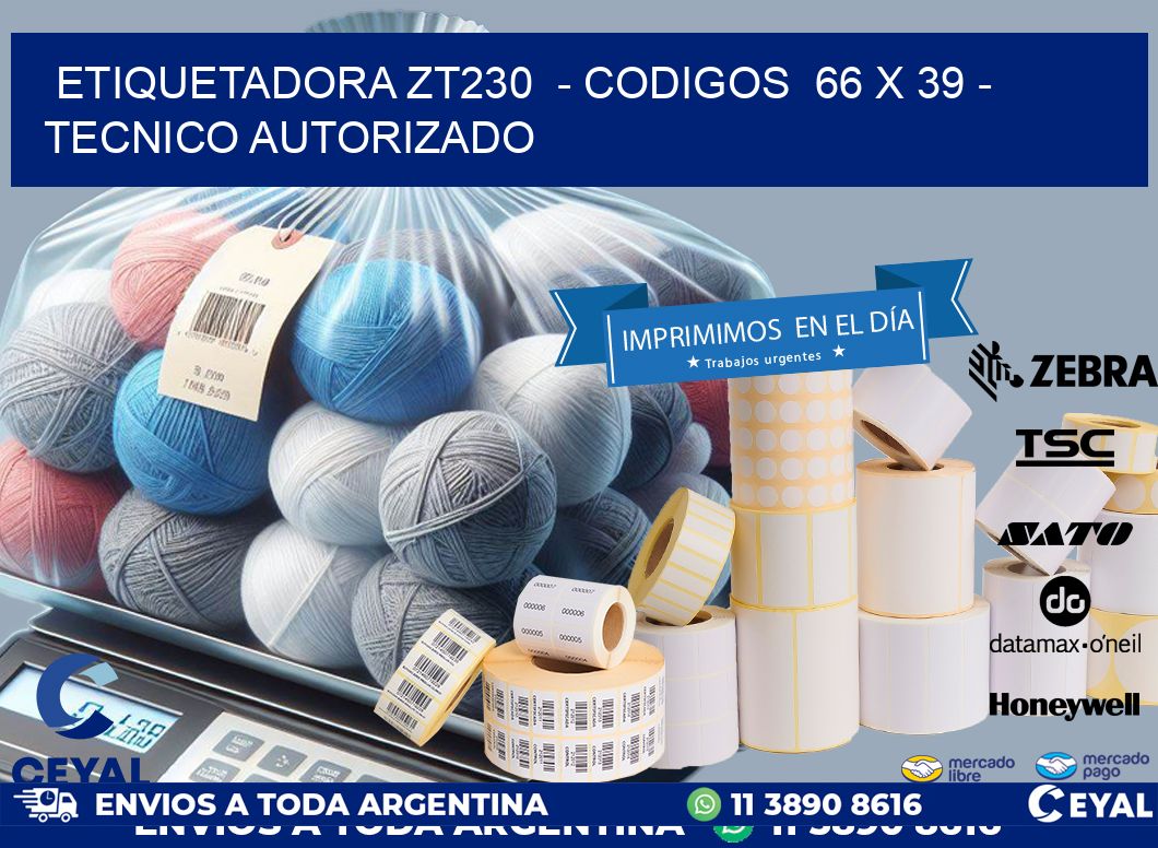 ETIQUETADORA ZT230  - CODIGOS  66 x 39 - TECNICO AUTORIZADO
