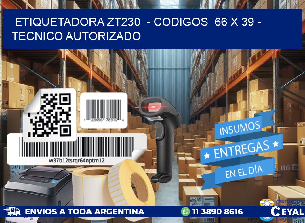 ETIQUETADORA ZT230  - CODIGOS  66 x 39 - TECNICO AUTORIZADO