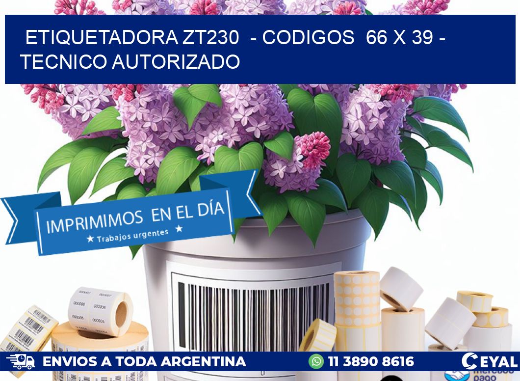 ETIQUETADORA ZT230  - CODIGOS  66 x 39 - TECNICO AUTORIZADO