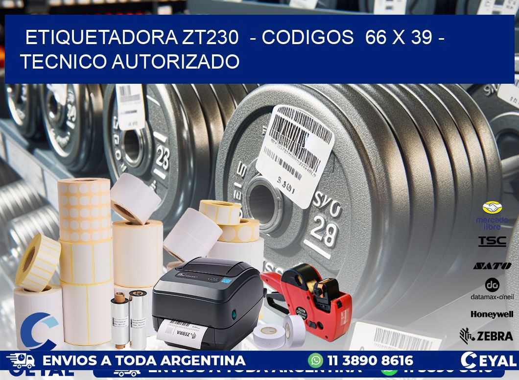 ETIQUETADORA ZT230  - CODIGOS  66 x 39 - TECNICO AUTORIZADO