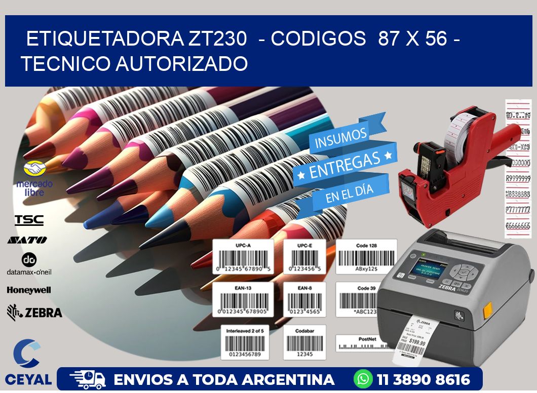 ETIQUETADORA ZT230  - CODIGOS  87 x 56 - TECNICO AUTORIZADO