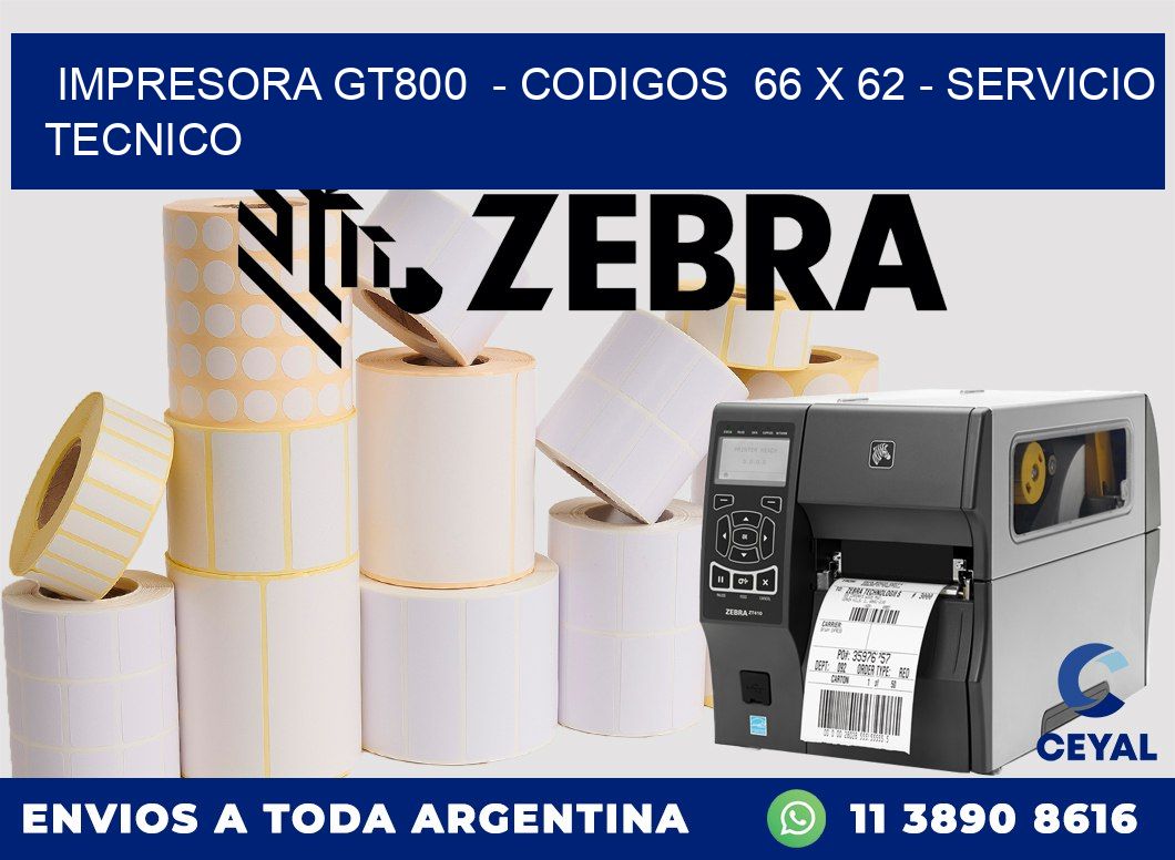 IMPRESORA GT800  - CODIGOS  66 x 62 - SERVICIO TECNICO