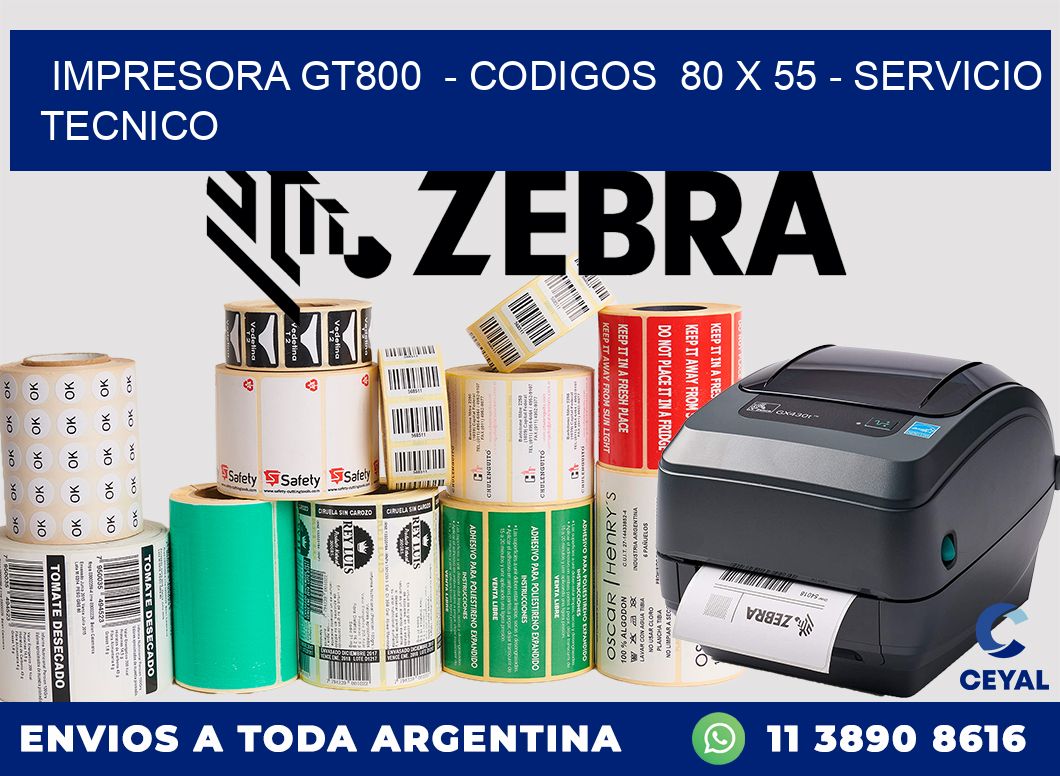 IMPRESORA GT800  - CODIGOS  80 x 55 - SERVICIO TECNICO