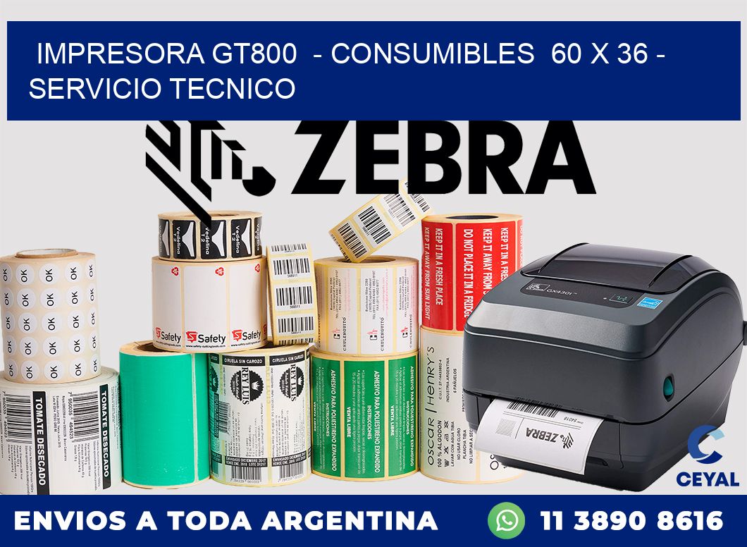 IMPRESORA GT800  - CONSUMIBLES  60 x 36 - SERVICIO TECNICO