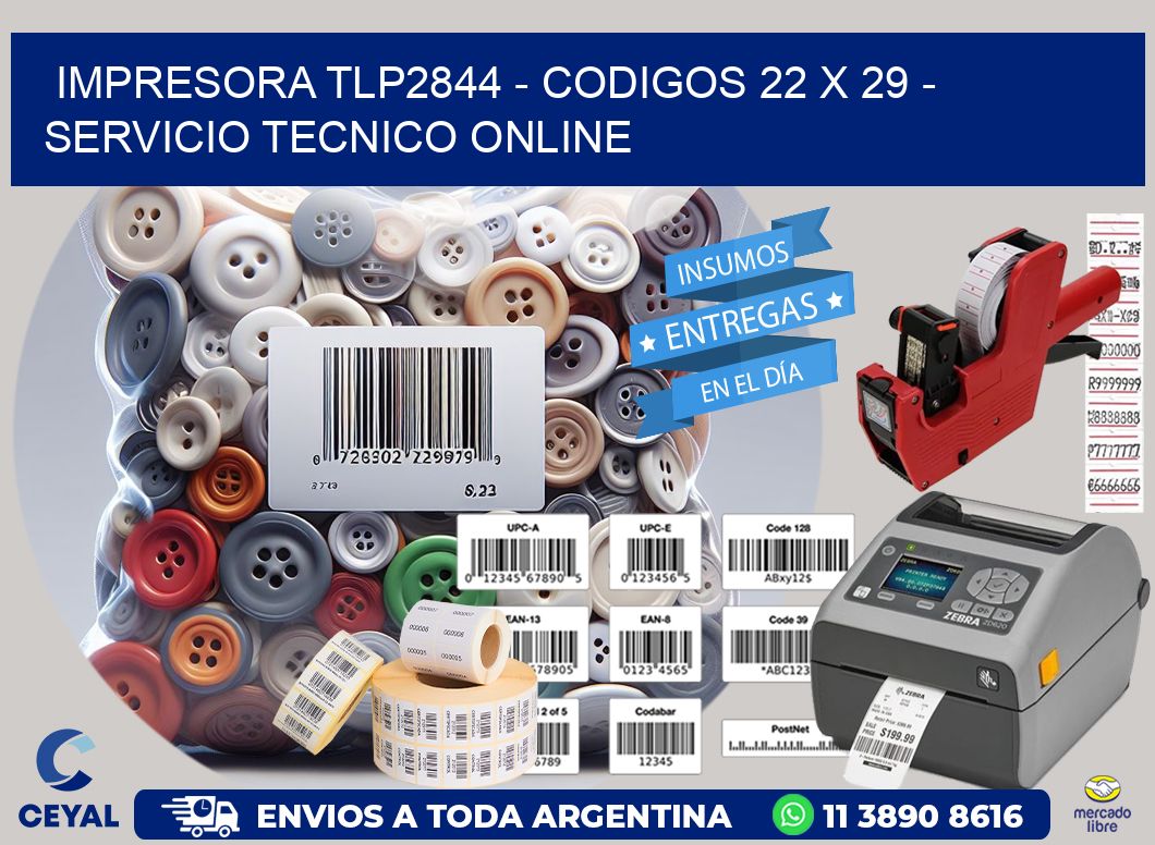 IMPRESORA TLP2844 - CODIGOS 22 x 29 - SERVICIO TECNICO ONLINE