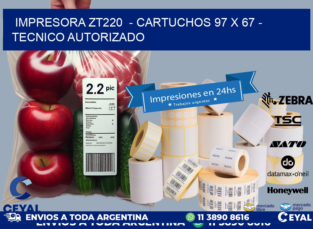 IMPRESORA ZT220  - CARTUCHOS 97 x 67 - TECNICO AUTORIZADO