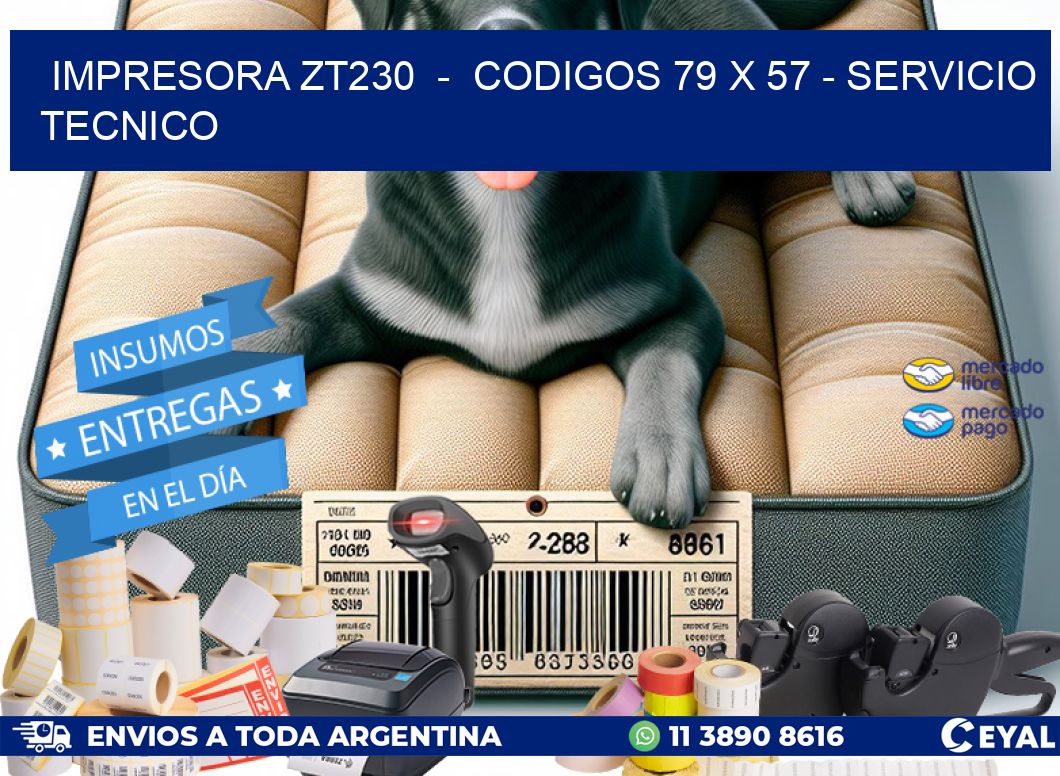 IMPRESORA ZT230 - CODIGOS 79 x 57 - SERVICIO TECNICO