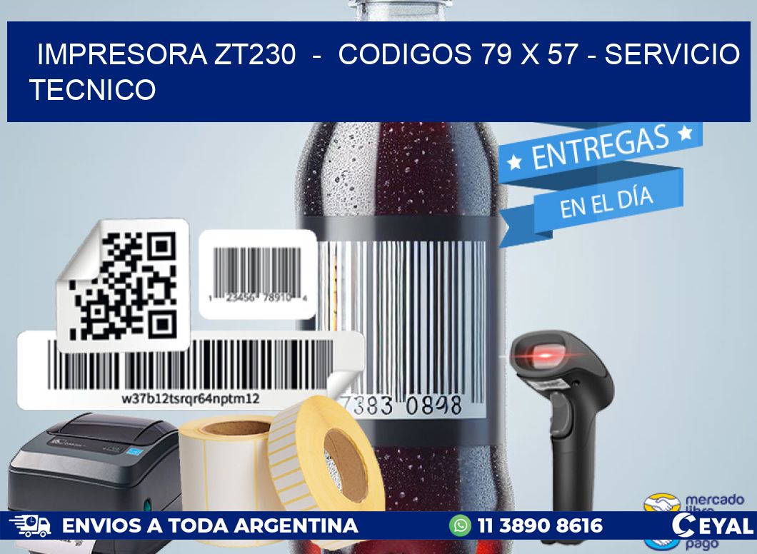 IMPRESORA ZT230 - CODIGOS 79 x 57 - SERVICIO TECNICO