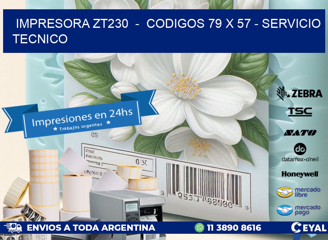 IMPRESORA ZT230 - CODIGOS 79 x 57 - SERVICIO TECNICO