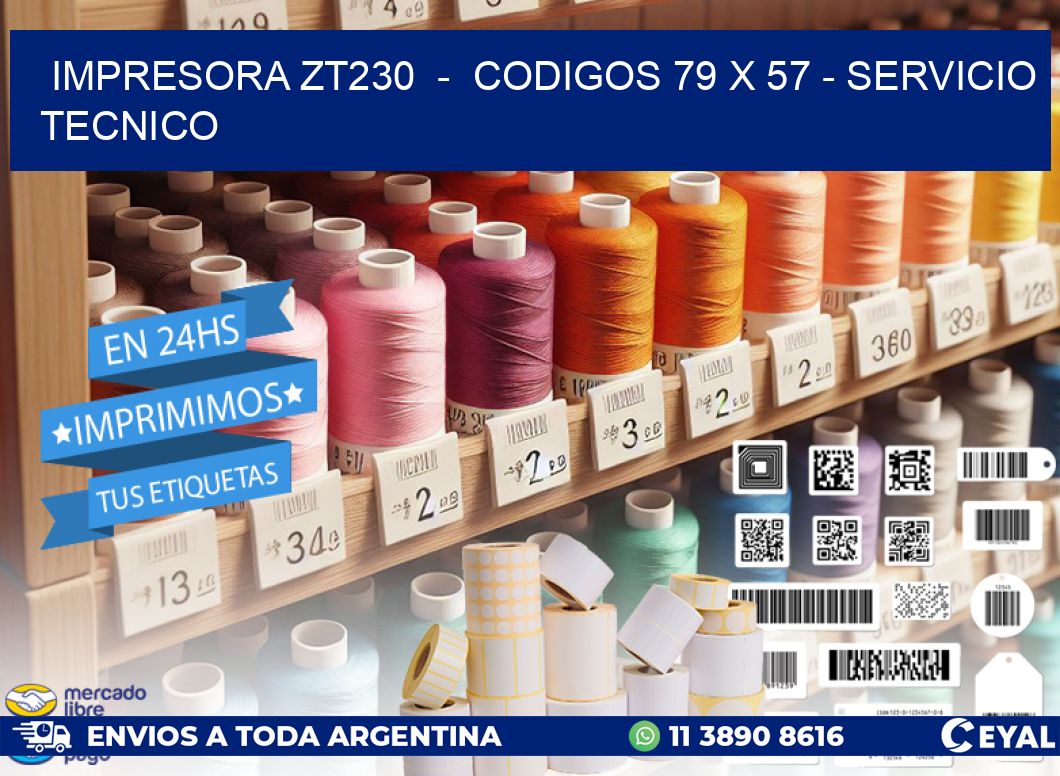 IMPRESORA ZT230 - CODIGOS 79 x 57 - SERVICIO TECNICO