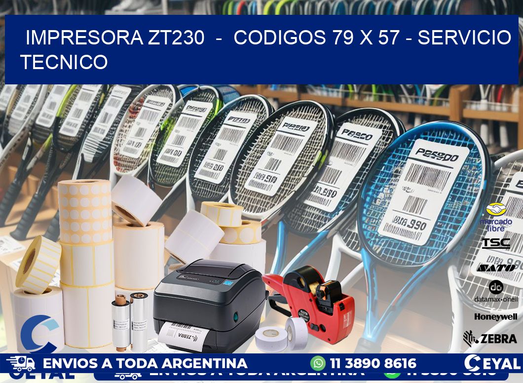 IMPRESORA ZT230 - CODIGOS 79 x 57 - SERVICIO TECNICO