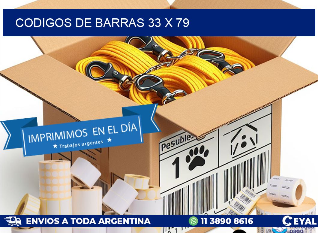 codigos de barras 33 x 79