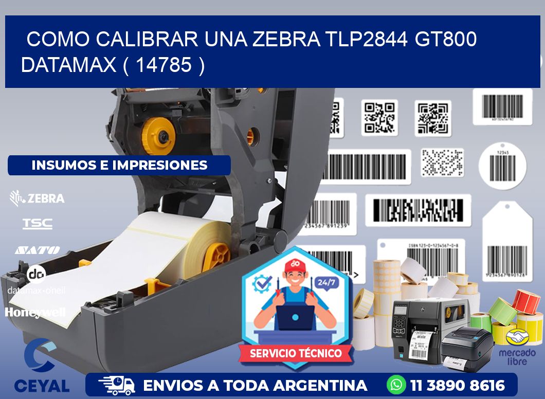 COMO CALIBRAR UNA ZEBRA TLP2844 GT800 DATAMAX ( 14785 )