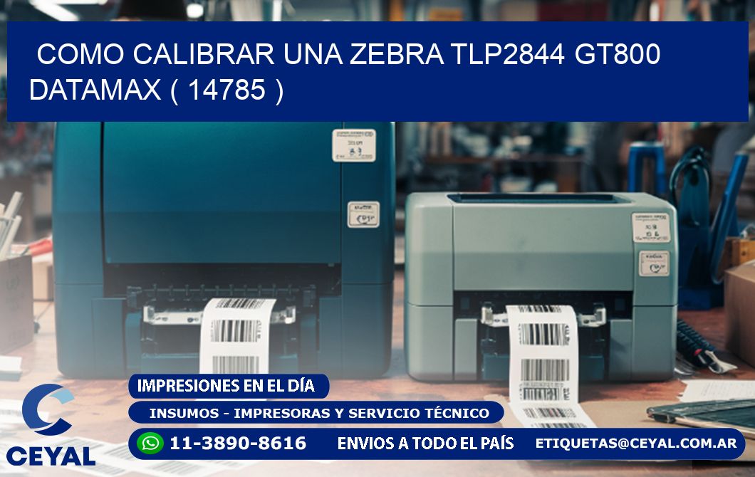 COMO CALIBRAR UNA ZEBRA TLP2844 GT800 DATAMAX ( 14785 )