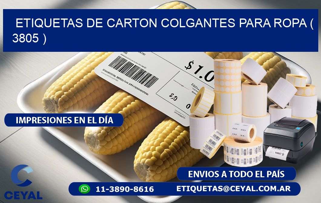 ETIQUETAS DE CARTON COLGANTES PARA ROPA ( 3805 )