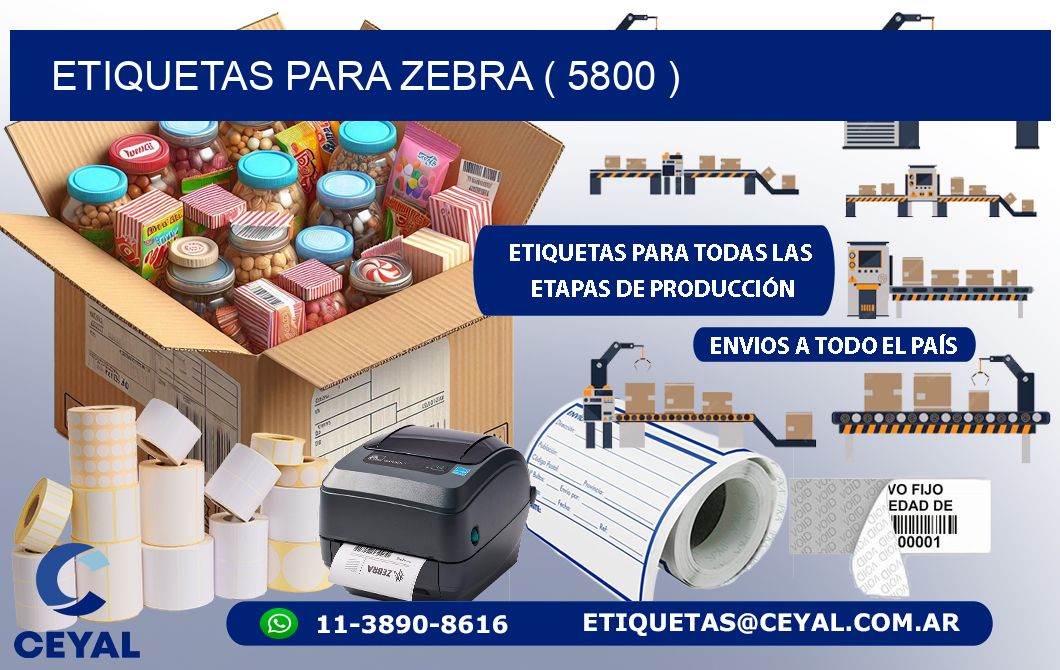 ETIQUETAS PARA ZEBRA ( 5800 )