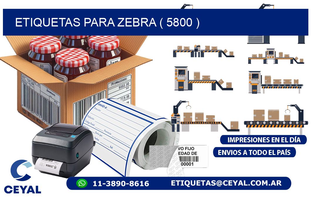 ETIQUETAS PARA ZEBRA ( 5800 )