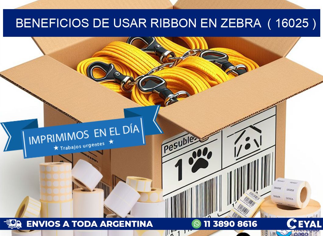 BENEFICIOS DE USAR RIBBON EN ZEBRA  ( 16025 )