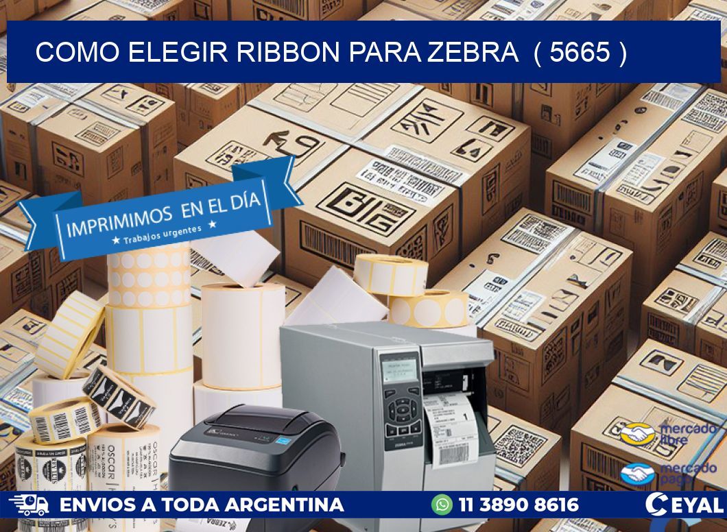 COMO ELEGIR RIBBON PARA ZEBRA  ( 5665 )