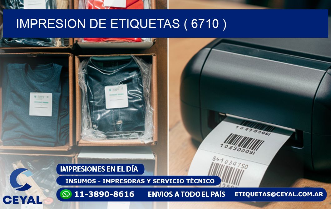 IMPRESION DE ETIQUETAS ( 6710 )