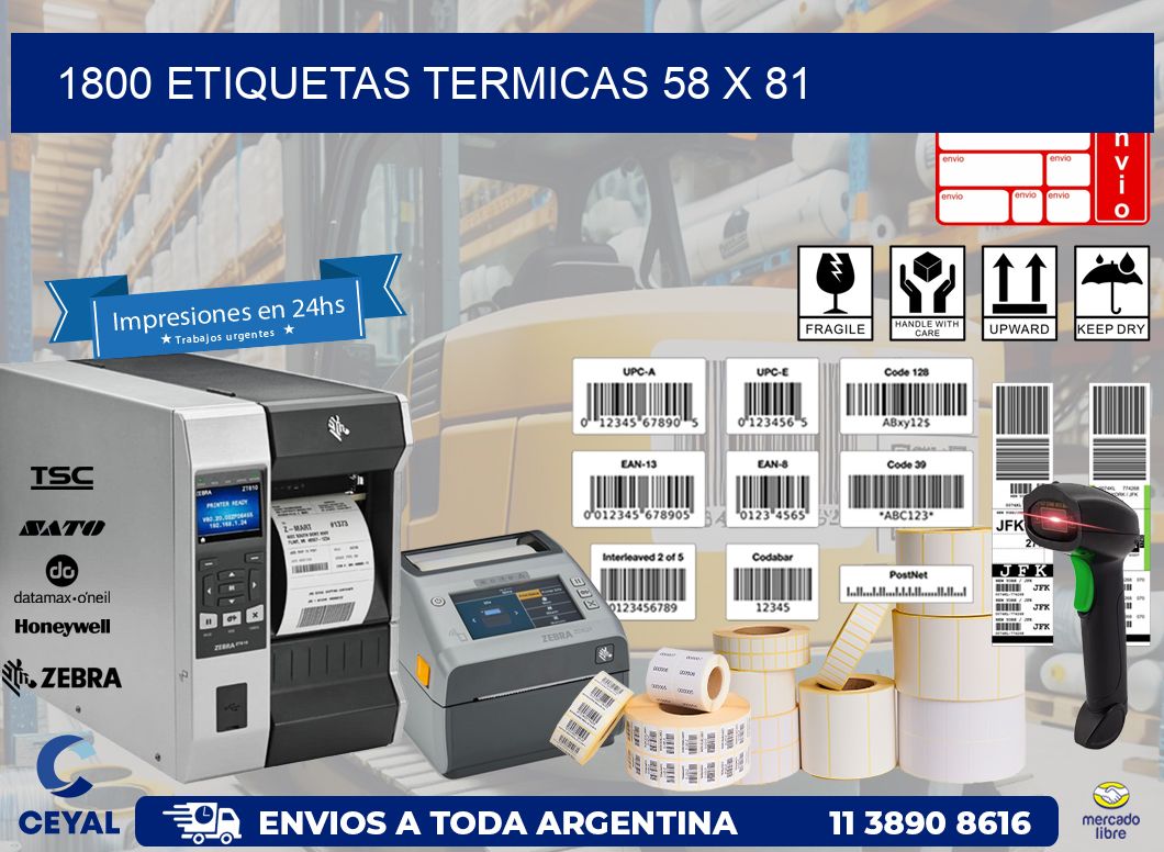 1800 ETIQUETAS TERMICAS 58 x 81