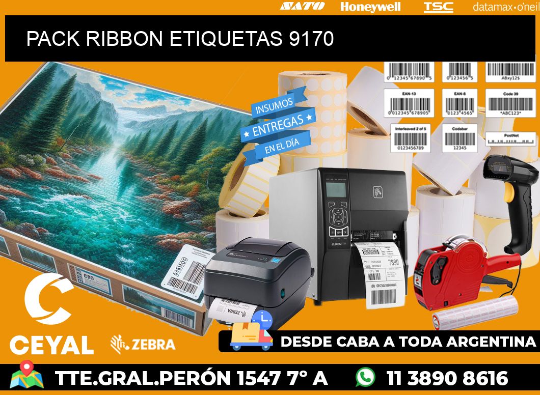 PACK RIBBON ETIQUETAS 9170