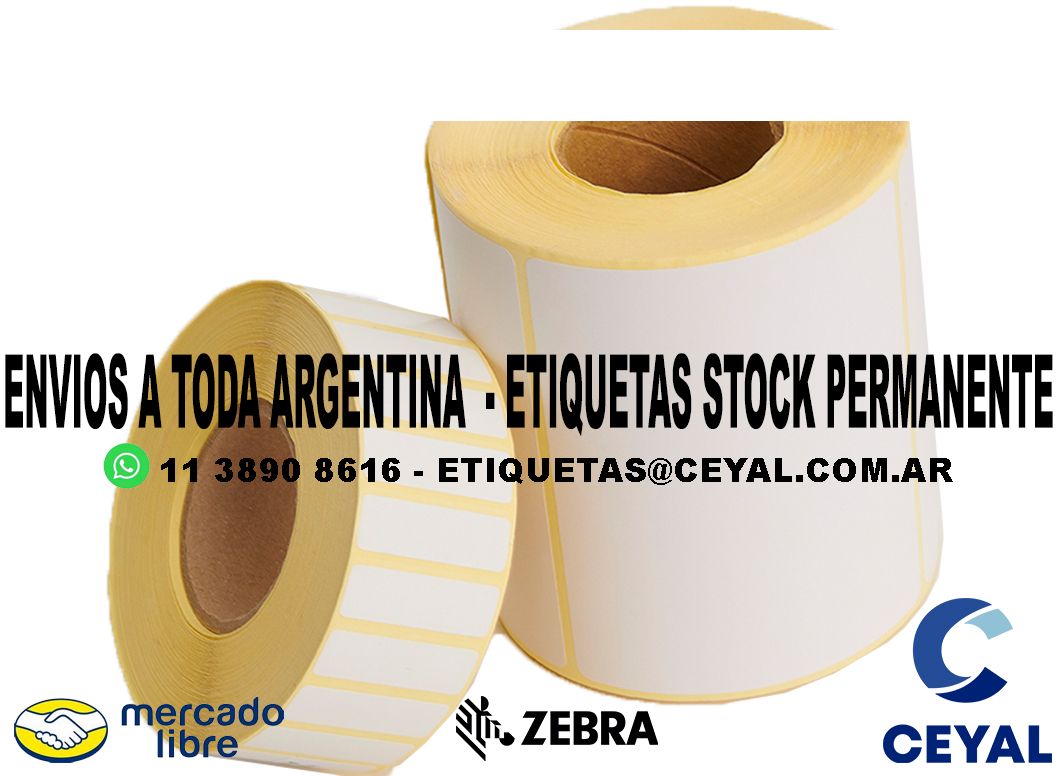 ZEBRA ZM400 100 ETIQUETAS IMPRESAS  23 x 23