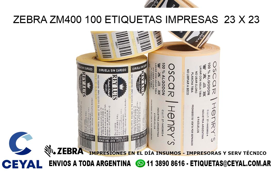 ZEBRA ZM400 100 ETIQUETAS IMPRESAS  23 x 23