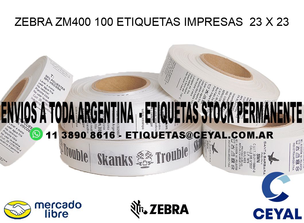 ZEBRA ZM400 100 ETIQUETAS IMPRESAS  23 x 23