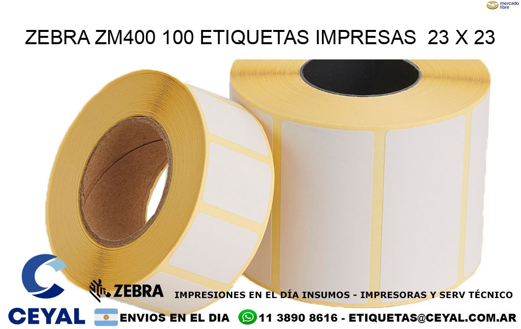 ZEBRA ZM400 100 ETIQUETAS IMPRESAS  23 x 23