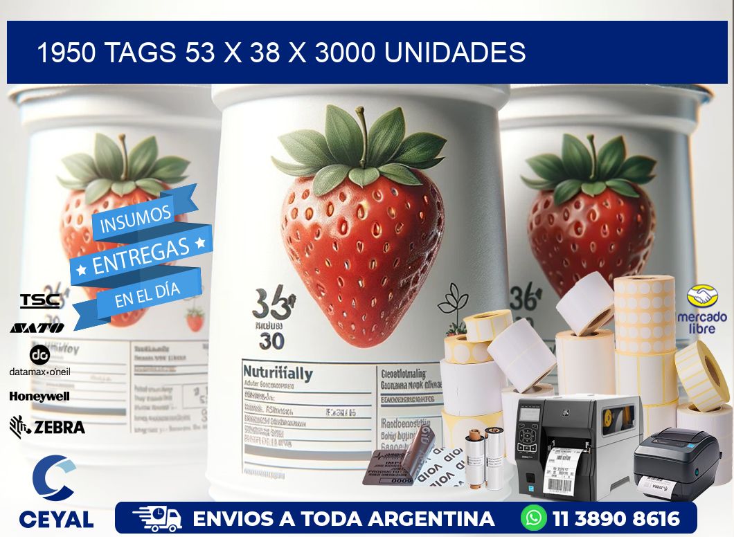 1950 TAGS 53 x 38 X 3000 UNIDADES