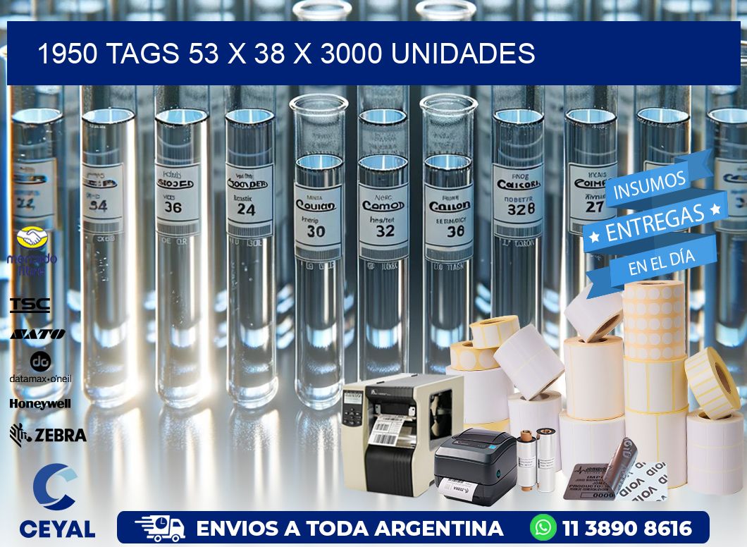 1950 TAGS 53 x 38 X 3000 UNIDADES