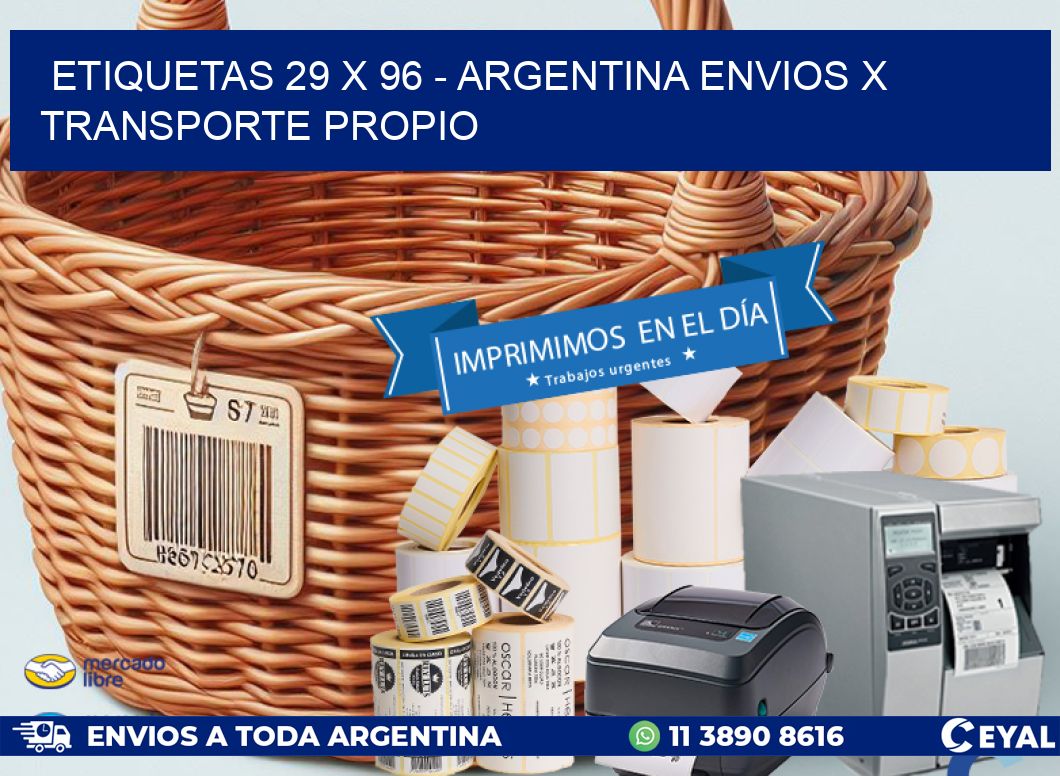 ETIQUETAS 29 x 96 - ARGENTINA ENVIOS X TRANSPORTE PROPIO