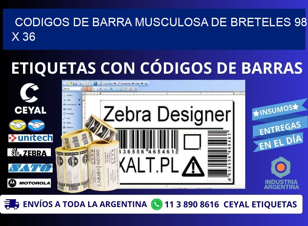 CODIGOS DE BARRA MUSCULOSA DE BRETELES 98 x 36