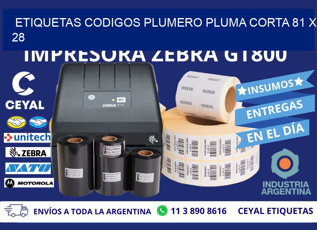 ETIQUETAS CODIGOS PLUMERO PLUMA CORTA 81 x 28