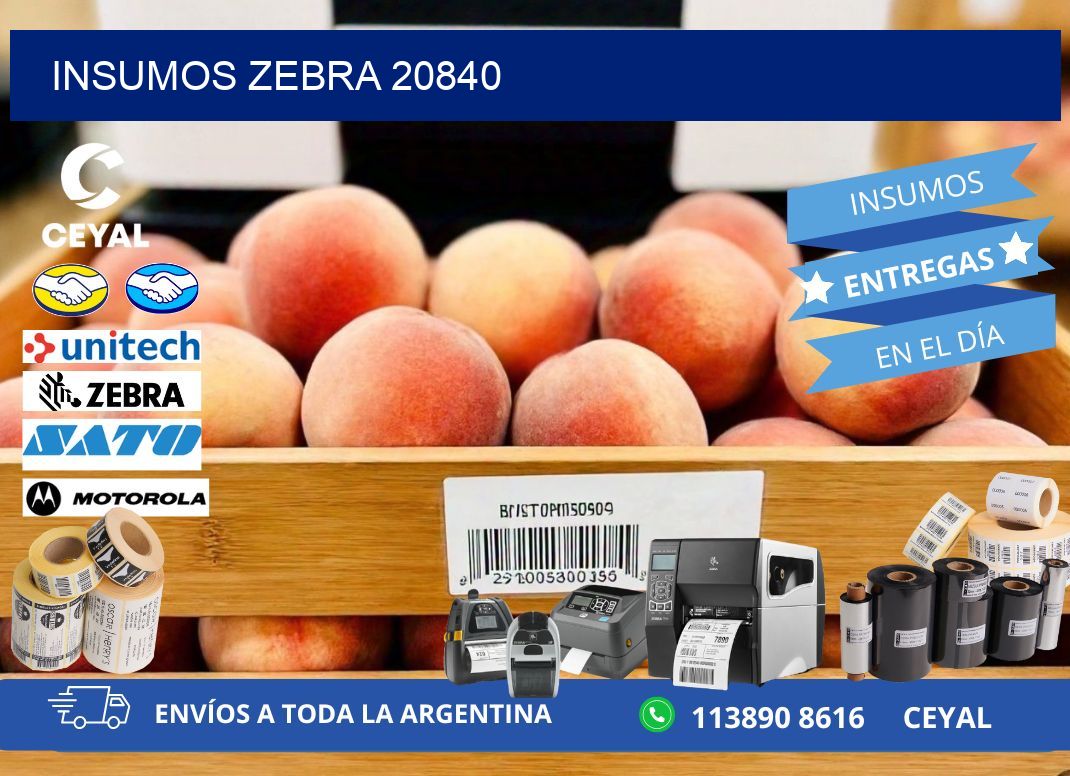 INSUMOS ZEBRA 20840