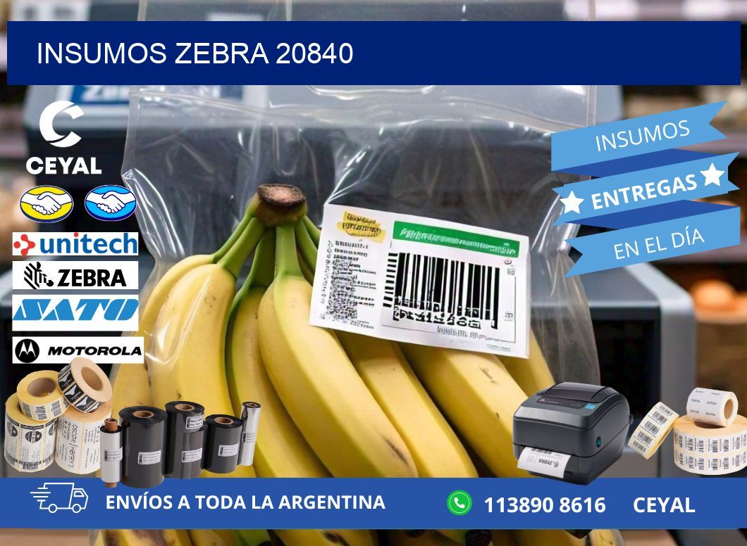 INSUMOS ZEBRA 20840