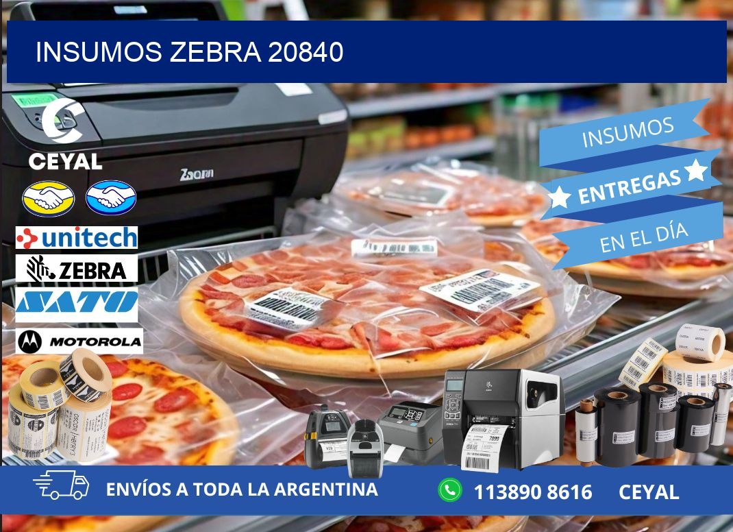 INSUMOS ZEBRA 20840