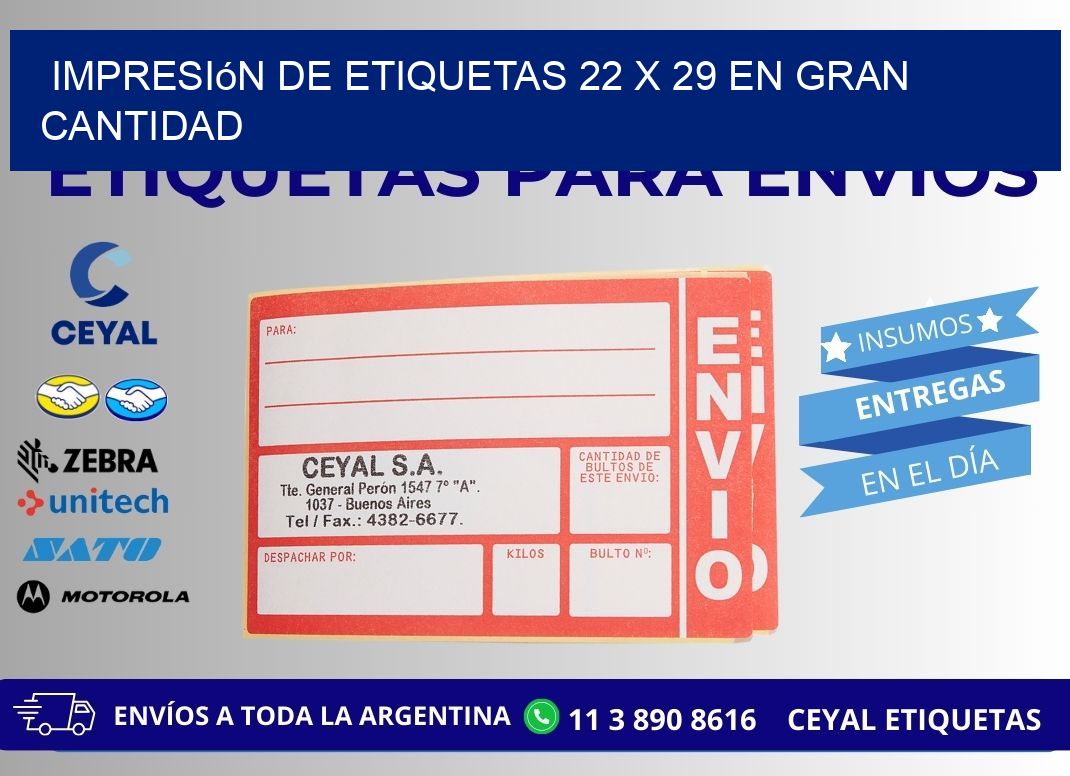 Impresión de Etiquetas 22 x 29 en Gran Cantidad