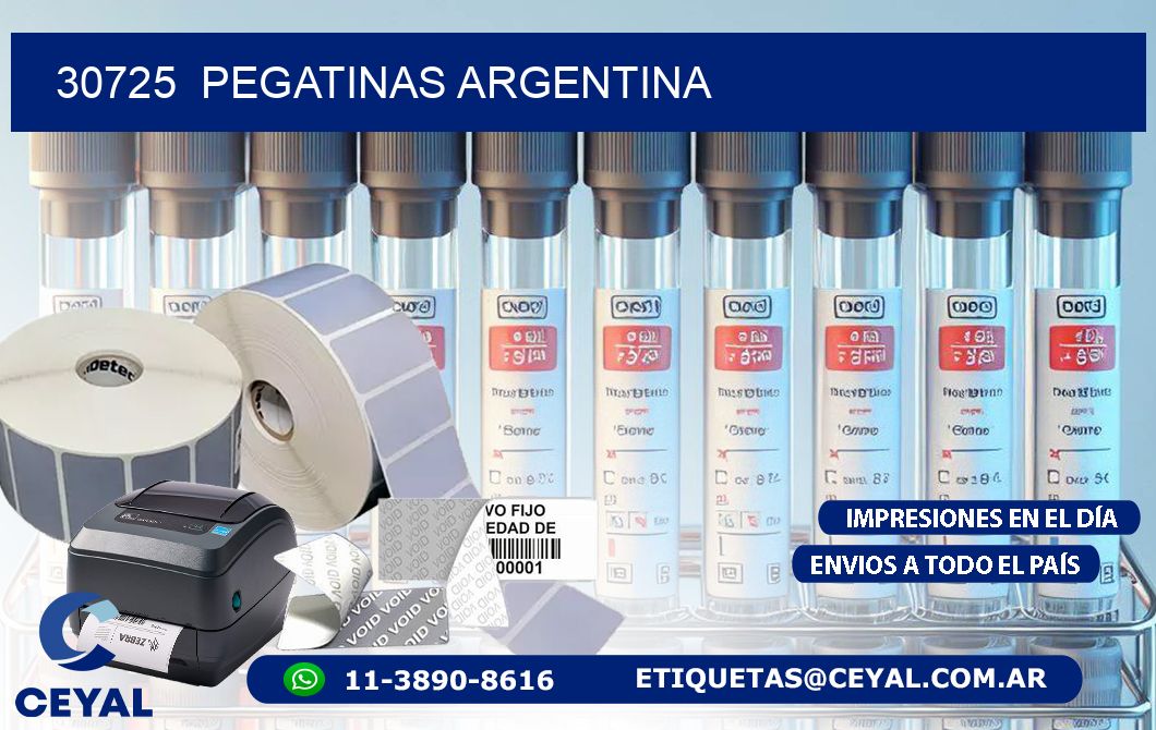 30725  Pegatinas Argentina