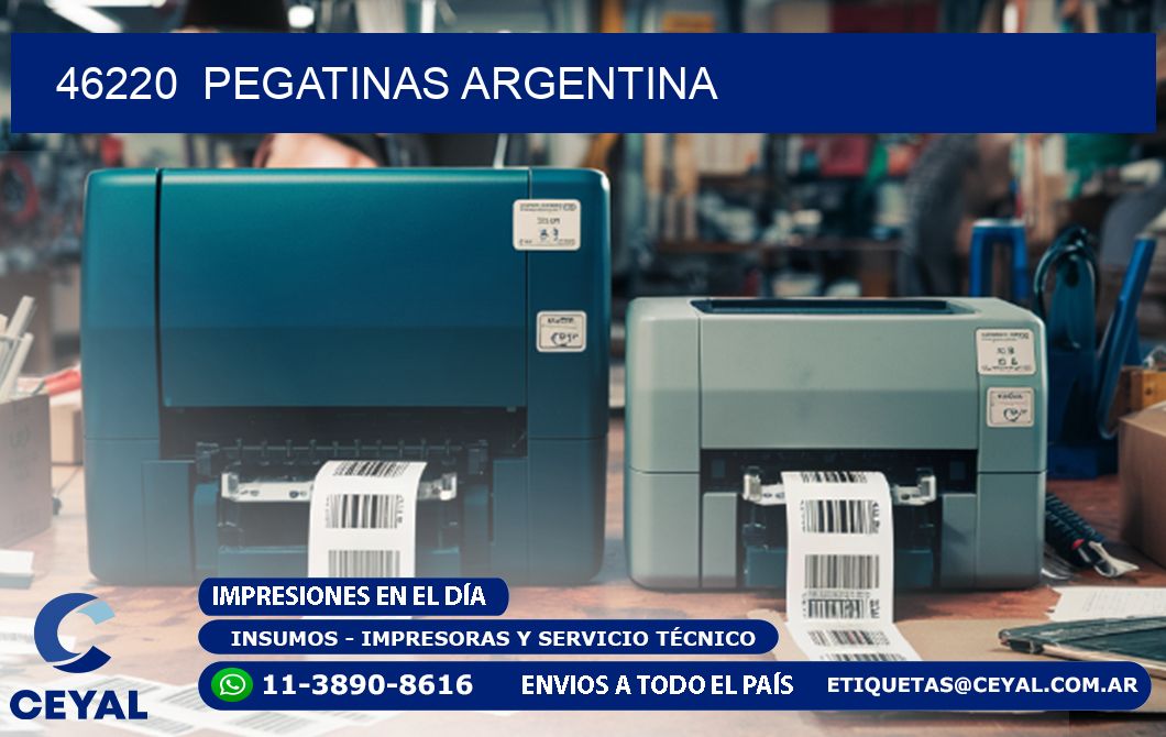 46220  Pegatinas Argentina