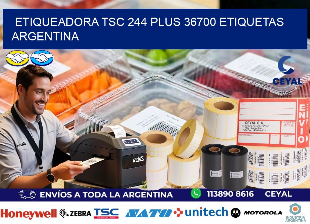 etiqueadora tsc 244 plus 36700 etiquetas argentina