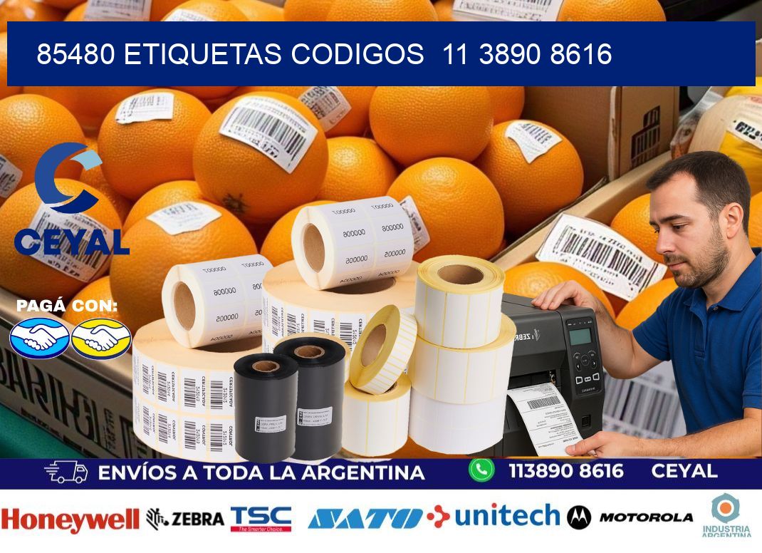 85480 ETIQUETAS CODIGOS  11 3890 8616