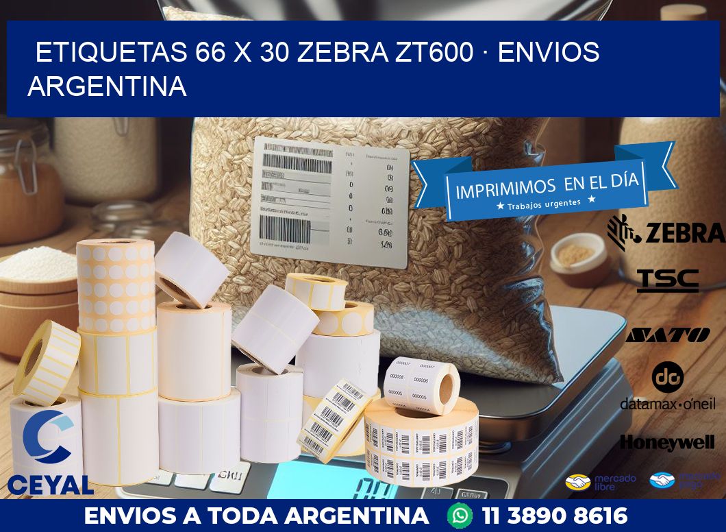 ETIQUETAS 66 x 30 ZEBRA ZT600 · ENVIOS ARGENTINA