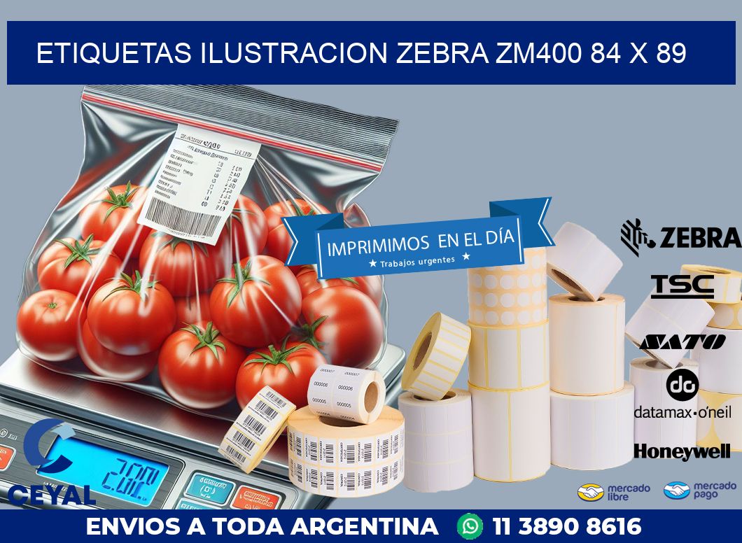 ETIQUETAS ILUSTRACION ZEBRA ZM400 84 x 89