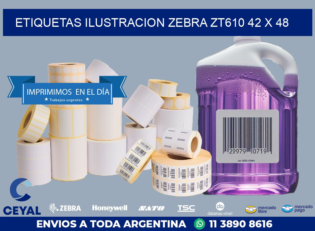 ETIQUETAS ILUSTRACION ZEBRA ZT610 42 x 48