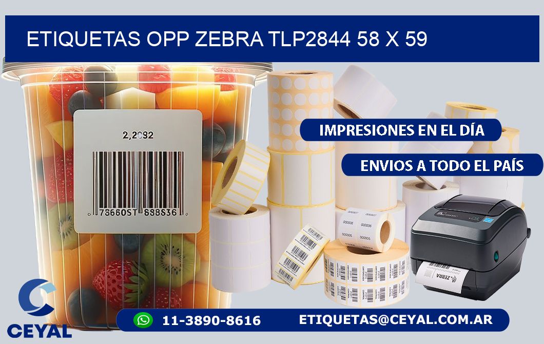 ETIQUETAS OPP ZEBRA TLP2844 58 x 59